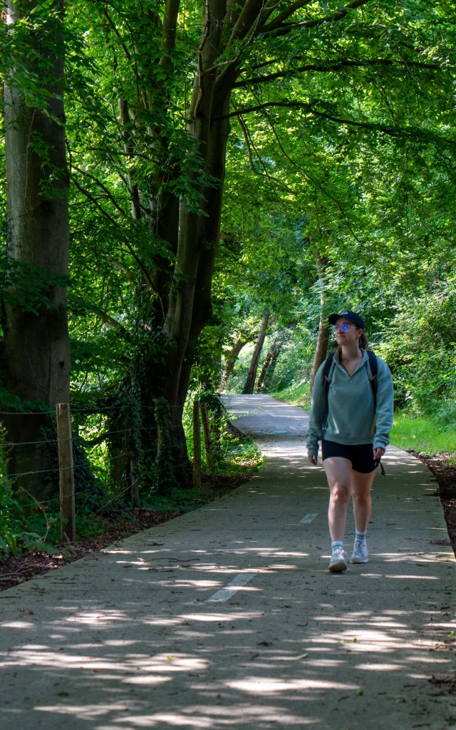 A walk in the Eawy forest