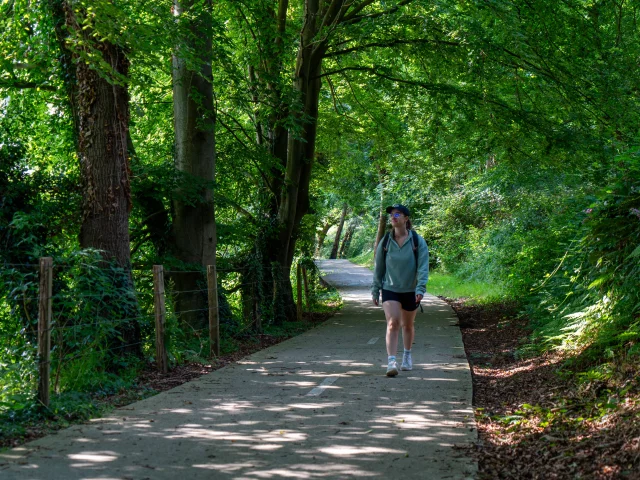 A walk in the Eawy forest