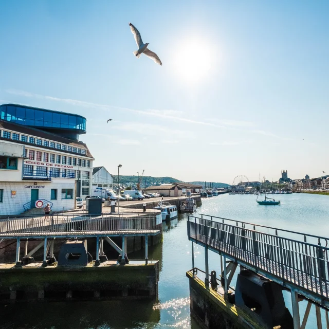 Fecamp Port 3 2018sma S.cordevant