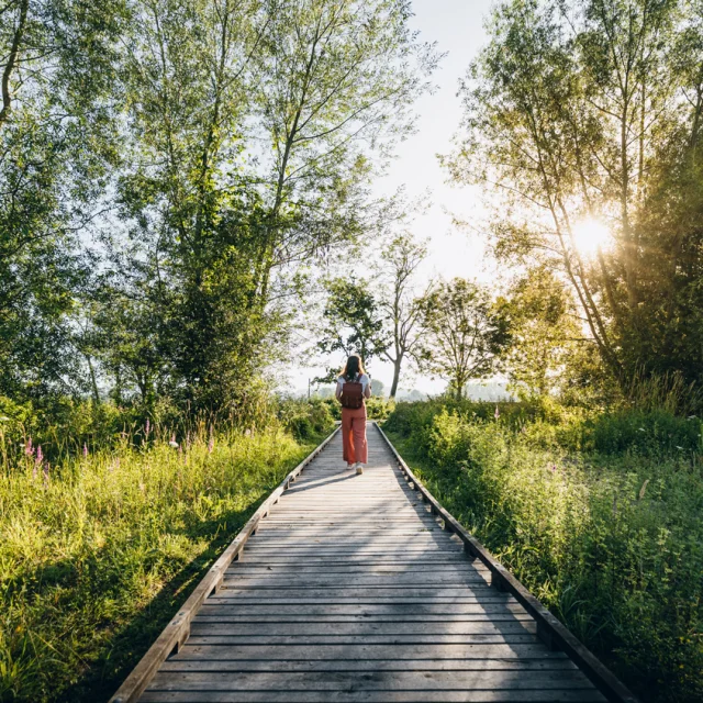 Heurteauville Tourbiere Nature
