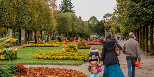 Jardin des plantes Rouen