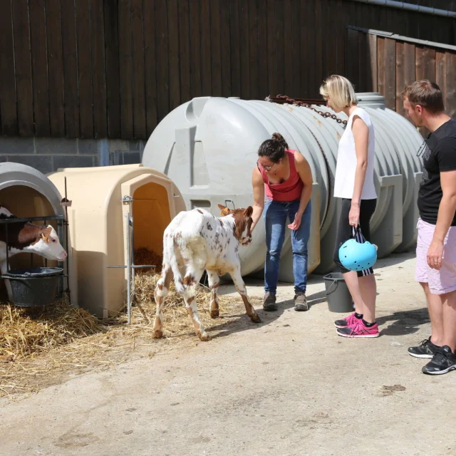 Ferme en Seine-Maritime