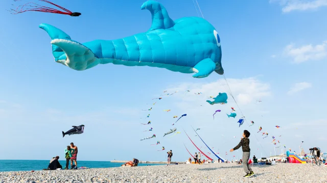 Dieppe Festival Du Cerf Volant