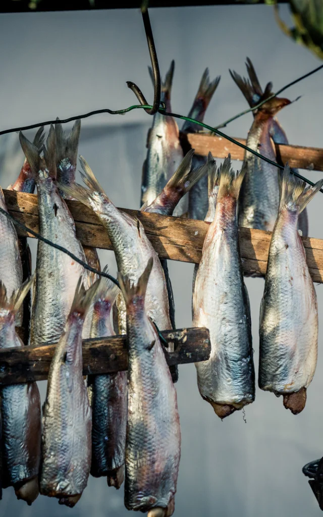 Fête Du Hareng Dieppe