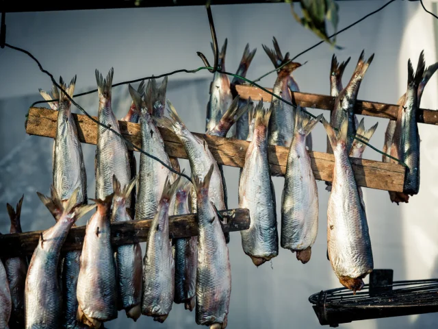 Dieppe Herring Festival