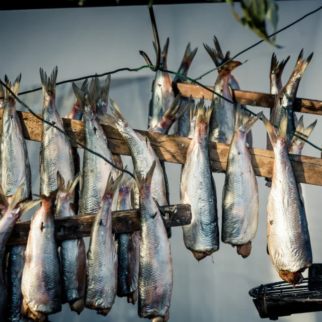 Fête Du Hareng Dieppe