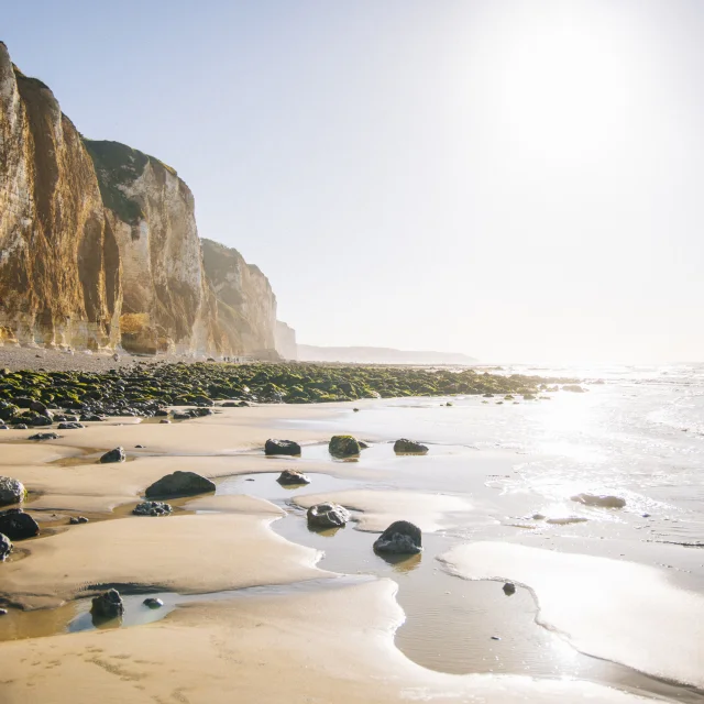 Seine Maritime Clara Ferrand Wildroad 1430