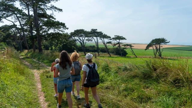 GR21 - Randonnee Quiberville Sma V. Debels