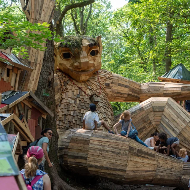 Randonnee Foret Campagne Foret Monumentale Roumare @sma V. Debels