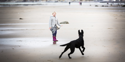 Les plages accessibles aux chiens